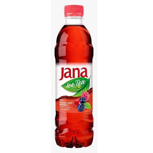 Jana Ice Tea Waldfrüchte 0.5L